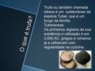 Trufa ou também chamada
túbera é um subterrâneo da
espécie Tuber, que é um
fungo da familia
Tuberaceae.
Os primeiros registos da sua
existência e utilização é em
3.000 AC. gregos e romanos
já a utilizavam com
regularidade na cozinha.
 