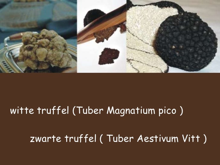 truffelhuys-2-728.jpg?cb=1302913579