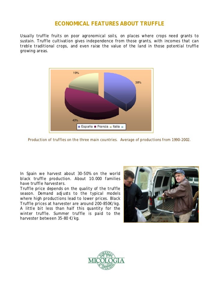 Truffle farming guide