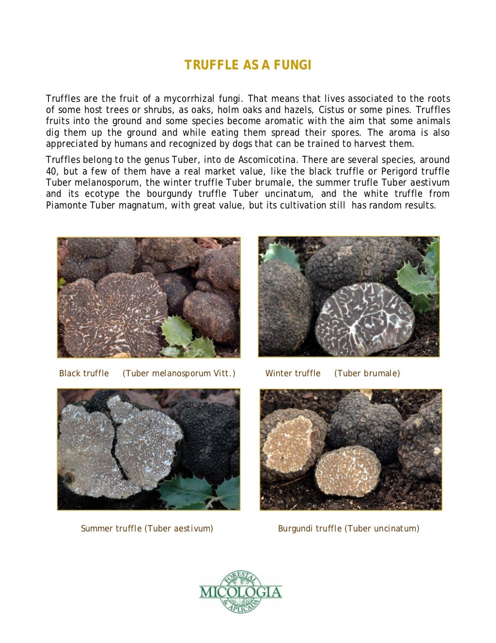 Truffle farming guide