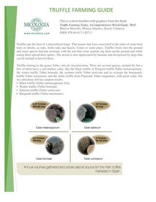 TRUFFLE	FARMING	GUIDE		
																										
This	is	a	short	booklet	with	graphics	from	the	Book		
Truffle Farming Today. A Comprehensive World Guide. 2015.
Marcos Morcillo, Mónica Sánchez, Xavier Vilanova.
ISBN 978-84-617-1307-3	
	
Truffles are the fruit of a mycorrhizal fungi. That means that lives associated to the roots of some host
trees or shrubs, as oaks, holm oaks and hazels, Cistus or some pines. Truffles fruits into the ground
and some species become aromatic with the aim that some animals dig them up the ground and while
eating them spread their spores. The aroma is also appreciated by humans and recognized by dogs that
can be trained to harvest them.
Truffles belong to the genus Tuber, into de Ascomicotina. There are several species, around 40, but a
few of them have a real market value, like the black truffle or Perigord truffle Tuber melanosporum,
the winter truffle Tuber brumale, the summer trufle Tuber aestivum and its ecotype the bourgundy
truffle Tuber uncinatum, and the white truffle from Piamonte Tuber magnatum, with great value, but
its cultivation still has random results.
• Black truffle (Tuber melanosporum Vitt)
• Winter truffle (Tuber brumale)
• Summer truffle (Tuber aestivum)
• Burgundi truffle (Tuber uncinatum)
				
 