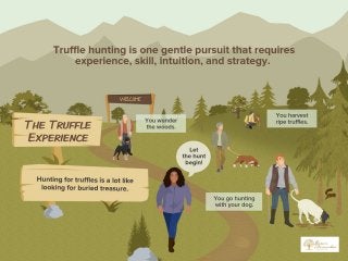 Truffle Hunting - The Wild Food Adventure