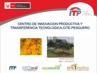 CENTRO DE INNOVACION PRODUCTIVA Y
TRANSFERENCIA TECNOLOGICA,CITE-PESQUERO
PIURA JULIO 2017
Blgo. J. Sanchez H.
 