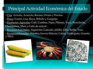 - Cría: Avícola, Acuícola, Bovino, Ovino y Porcino.
- Pesca: Cazón, Lisa, Raya, Róbalo y Cangrejo.
- Productos Agrícolas: Café, Cambur, Papa, Plátano, Yuca, Remolacha,
Champiñón, Maíz y Caña de azúcar..
- Recursos Forestales: Algarrobo, Gateado, Jabillo, Jobo, Roble, Vera.
- RecursosMinerales: Petróleo,Arenas Silíceas, Caliza, Feldespato, Granito,
y Mica.
Principal Actividad Económica del Estado
 