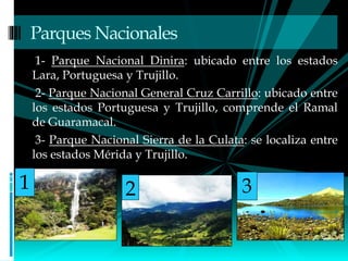 1- Parque Nacional Dinira: ubicado entre los estados
Lara, Portuguesa y Trujillo.
2- Parque Nacional General Cruz Carrillo: ubicado entre
los estados Portuguesa y Trujillo, comprende el Ramal
de Guaramacal.
3- Parque Nacional Sierra de la Culata: se localiza entre
los estados Mérida y Trujillo.
Parques Nacionales
1 2 3
 