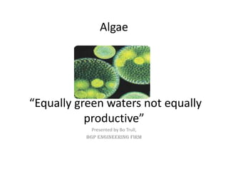 Algae “Equally green waters not equally productive” Presented by Bo Trull, BGP Engineering Firm 