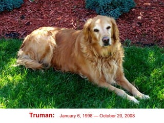 Truman:   January 6, 1998 — October 20, 2008 