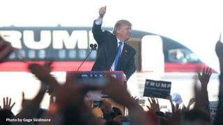 Trump and Hitler Compared