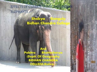 And
Pabitra Bhattacharya
(Deptt. Of Geography
BIDHAN CHANDRA
COLLEGE,Rishra, ]
Shakya Ganguly
Bidhan Chandra College
EFFECTS OF CLIMATE CHANGE ON INDIAN
ELEPHANTS
 