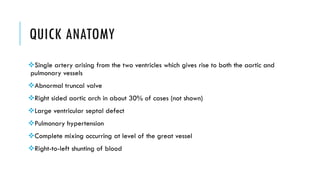 QUICK ANATOMY
Single artery arising from the two ventricles which gives rise to both the aortic and
pulmonary vessels
Abnormal truncal valve
Right sided aortic arch in about 30% of cases (not shown)
Large ventricular septal defect
Pulmonary hypertension
Complete mixing occurring at level of the great vessel
Right-to-left shunting of blood
 
