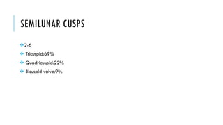 SEMILUNAR CUSPS
2-6
 Tricuspid:69%
 Quadricuspid:22%
 Bicuspid valve:9%
 