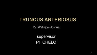 Dr. Walinjom Joshua
supervisor
Pr CHELO
1
 