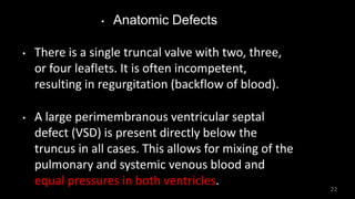 • Anatomic Defects
• There is a single truncal valve with two, three,
or four leaflets. It is often incompetent,
resulting in regurgitation (backflow of blood).
• A large perimembranous ventricular septal
defect (VSD) is present directly below the
truncus in all cases. This allows for mixing of the
pulmonary and systemic venous blood and
equal pressures in both ventricles.
22
 