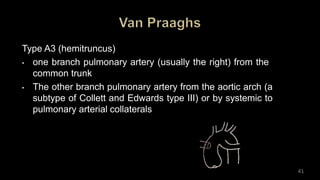 Type A3 (hemitruncus)
• one branch pulmonary artery (usually the right) from the
common trunk
• The other branch pulmonary artery from the aortic arch (a
subtype of Collett and Edwards type III) or by systemic to
pulmonary arterial collaterals
41
 