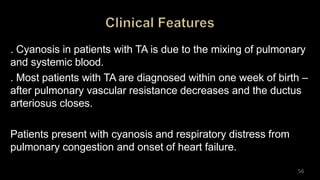. Cyanosis in patients with TA is due to the mixing of pulmonary
and systemic blood.
. Most patients with TA are diagnosed within one week of birth –
after pulmonary vascular resistance decreases and the ductus
arteriosus closes.
Patients present with cyanosis and respiratory distress from
pulmonary congestion and onset of heart failure.
56
 