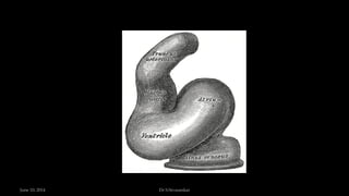 June 10, 2014 Dr S.Sivasankar
 