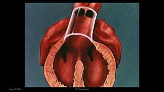 June 10, 2014 Dr S.Sivasankar
 