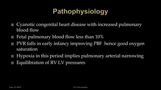  Cyanotic congenital heart disease with increased pulmonary
blood flow
 Fetal pulmonary blood flow less than 10%
 PVR falls in early infancy improving PBF hence good oxygen
saturation
 Hypoxia in this period implies pulmonary arterial narrowing
 Equilibration of RV LV pressures
June 10, 2014 Dr S.Sivasankar
 
