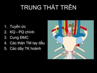 TRUNG THẤT TRÊN
1. Tuyến ức
2. KQ - PQ chính
3. Cung ĐMC
4. Các thân TM tay đầu
5. Các dây TK hoành
 