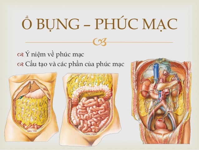 Trung thất phúc mạc
