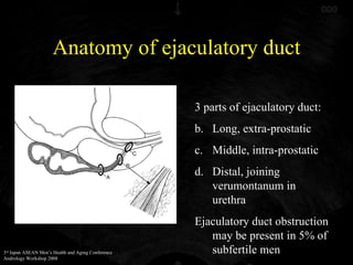 Anatomy of ejaculatory duct ,[object Object],[object Object],[object Object],[object Object],[object Object]