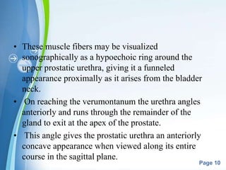 Powerpoint Templates
Page 10
• These muscle fibers may be visualized
sonographically as a hypoechoic ring around the
upper prostatic urethra, giving it a funneled
appearance proximally as it arises from the bladder
neck.
• On reaching the verumontanum the urethra angles
anteriorly and runs through the remainder of the
gland to exit at the apex of the prostate.
• This angle gives the prostatic urethra an anteriorly
concave appearance when viewed along its entire
course in the sagittal plane.
 