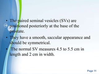 Powerpoint Templates
Page 11
• The paired seminal vesicles (SVs) are
positioned posteriorly at the base of the
prostate.
• They have a smooth, saccular appearance and
should be symmetrical.
• The normal SV measures 4.5 to 5.5 cm in
length and 2 cm in width.
 
