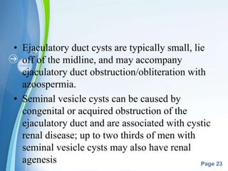 Powerpoint Templates
Page 23
• Ejaculatory duct cysts are typically small, lie
off of the midline, and may accompany
ejaculatory duct obstruction/obliteration with
azoospermia.
• Seminal vesicle cysts can be caused by
congenital or acquired obstruction of the
ejaculatory duct and are associated with cystic
renal disease; up to two thirds of men with
seminal vesicle cysts may also have renal
agenesis
 