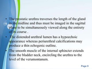 Powerpoint Templates
Page 9
• The prostatic urethra traverses the length of the gland
in the midline and thus must be imaged in the sagittal
plane to be simultaneously viewed along the entirety
of its course .
• The distended urethral lumen has a hypoechoic
appearance whereas periurethral calcifications may
produce a thin echogenic outline.
• The smooth muscle of the internal sphincter extends
from the bladder neck, encircling the urethra to the
level of the verumontanum.
 