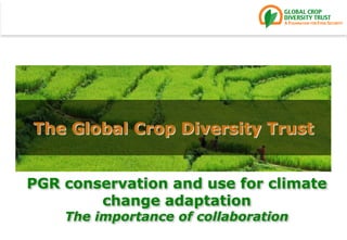 The Global Crop Diversity Trust PGR conservation and use for climate change adaptationThe importance of collaboration 