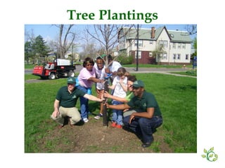 Tree Plantings 