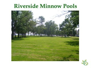 Riverside Minnow Pools 