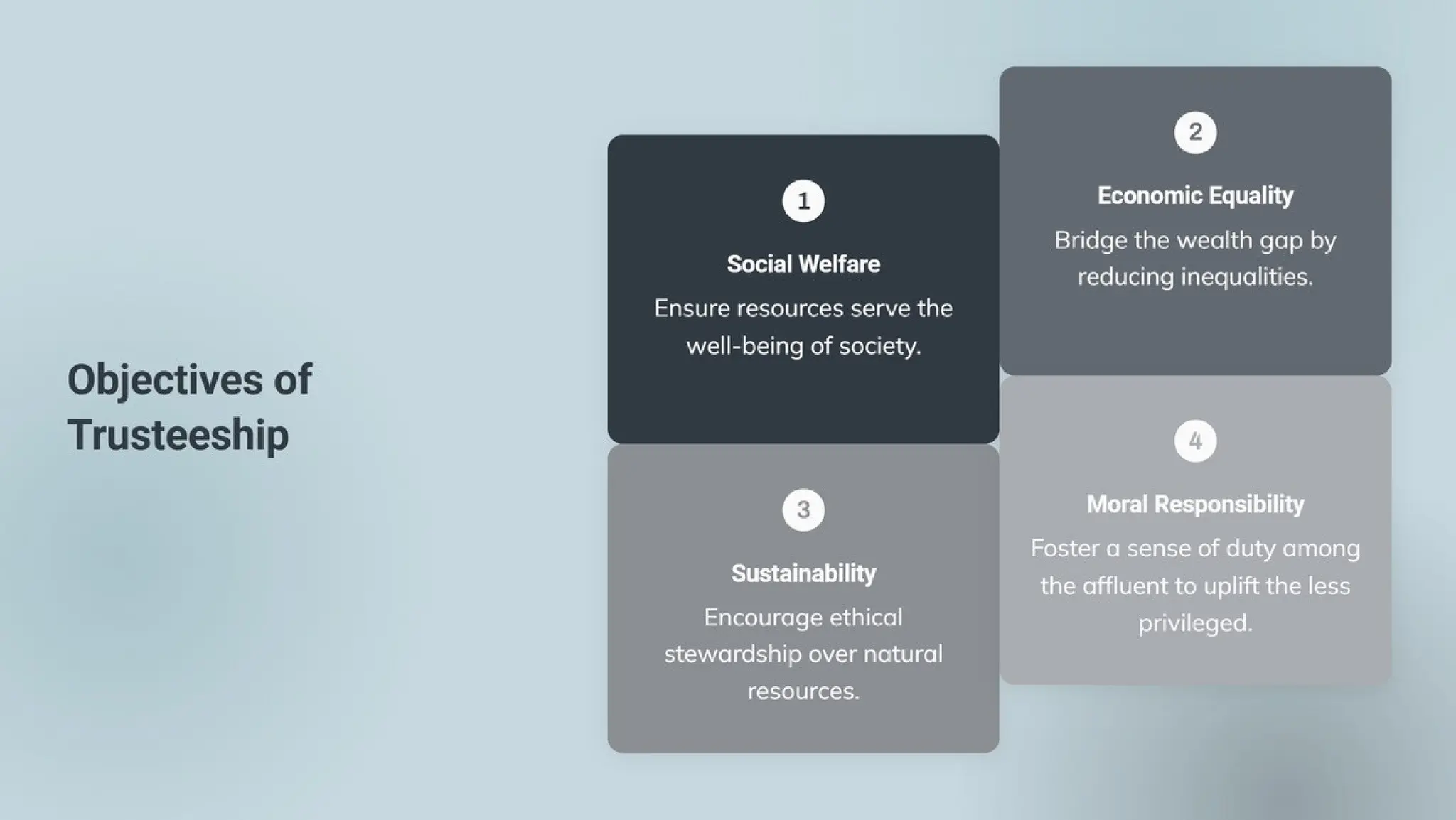 Trusteeship Principles presentation.pptx