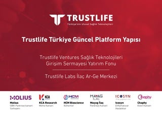 Trustlife Türkiye - Güncel Platform Yapısı