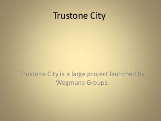 Trustone City
Trustone City is a large project launched by
Wegmans Groups.
 