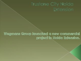 Trustone city noida extension