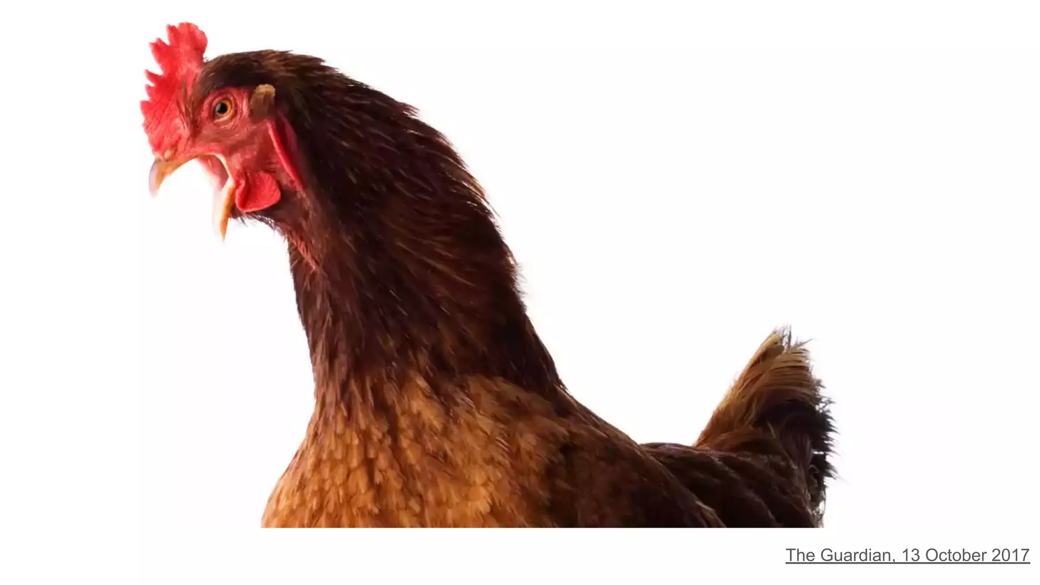 The Guardian, 13 October 2017
 