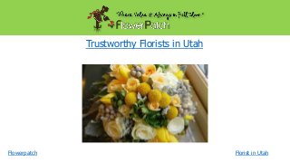 Trustworthy Florists in Utah

Flowerpatch

Florist in Utah

 