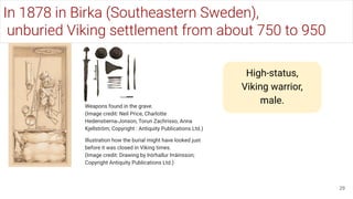 In 1878 in Birka (Southeastern Sweden),
unburied Viking settlement from about 750 to 950
29
High-status,
Viking warrior,
male.
Weapons found in the grave.
(Image credit: Neil Price, Charlotte
Hedenstierna-Jonson, Torun Zachrisso, Anna
Kjellström; Copyright : Antiquity Publications Ltd.)
Illustration how the burial might have looked just
before it was closed in Viking times.
(Image credit: Drawing by Þórhallur Þráinsson;
Copyright Antiquity Publications Ltd.)
 