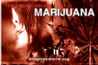 THE TRUTH ABOUT
         MARIJUANA




                             Ch
                               ro
                                  n
                                  ic
                            He
                               rb

                                    ke
                               S mo
                                    ot
                                   P s
                              ed as
                           We




                                      e
       drugfreeworld.org




                                    op
                                  r
                                G




                                  D
 