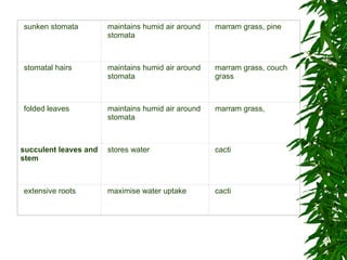 sunken stomata  maintains humid air around stomata  marram grass, pine  stomatal hairs  maintains humid air around stomata  marram grass, couch grass  folded leaves  maintains humid air around stomata  marram grass,  succulent leaves and stem  stores water  cacti  extensive roots  maximise water uptake  cacti  