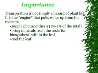 Importance   Transpiration is not simply a hazard of plant life. It is the "engine" that pulls water up from the roots to:  supply photosynthesis (1%-2% of the total)  bring minerals from the roots for biosynthesis within the leaf  cool the leaf   