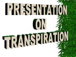 PRESENTATION  ON  TRANSPIRATION 