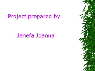 Project prepared by  Jenefa Joanna 