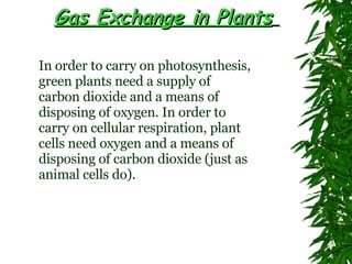 Gas Exchange in Plants   In order to carry on photosynthesis, green plants need a supply of carbon dioxide and a means of disposing of oxygen. In order to carry on cellular respiration, plant cells need oxygen and a means of disposing of carbon dioxide (just as animal cells do).   