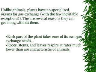 Unlike animals, plants have no specialized organs for gas exchange (with the few inevitable exceptions!). The are several reasons they can get along without them :  Each part of the plant takes care of its own gas exchange needs.  Roots, stems, and leaves respire at rates much lower than are characteristic of animals .  