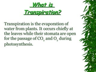 Plant Transpiration
