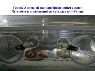 Темно? А дневной свет, пробивающийся с левой стороны и отражающийся в стеклах инкубатора!? 