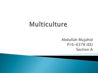 Abdullah Mujahid
P16-6378 (EE)
Section:A
 