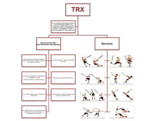 TRX
Beneficios del TRX o
Entrenamiento enSuspensión
Tonifica todos los músculos, desde los
abdominales hasta los glúteos, pasando
por piernas y brazos.
Ayuda aumentar la fuerza y el tamaño
muscular.
Incrementa el equilibrio, la flexibilidad y
la estabilidad corporal.
Optimiza el tiempo de entrenamiento.
Disminuye la posibilidad de lesiones.
En caso de los deportistas, incrementa el
rendimiento.
Al incorporar el trabajo cardiovascular,
facilita la pérdida de peso.
Desarrolla fuerza en el centro del cuerpo
mediante posiciones dinámicas y
movimientos funcionales.
Ejercicios
es un método de acondicionamiento
f ísico que permite realizar con
seguridad múltiples ejercicios para
mejorar la f uerza, la f lexibilidad, el
equilibrio, la estabilidad corporal y
prev enir lesiones de f orma ef ectiv a.
 